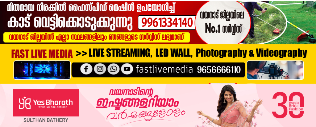 Advertisement